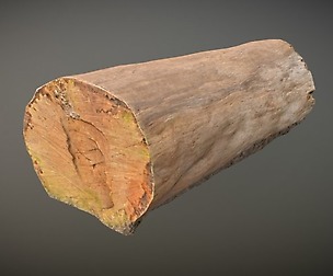 Log