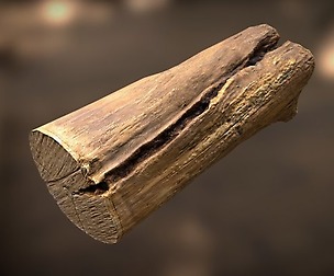 Log