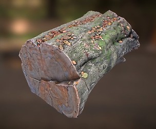 Log