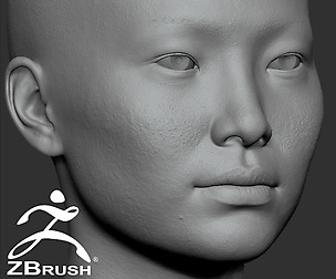 Average Asian Female Head Basemesh
