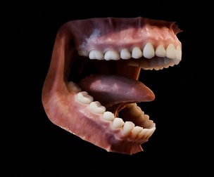 Photorealistic human mouth