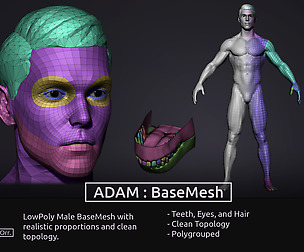 Male BaseMesh - LowPoly
