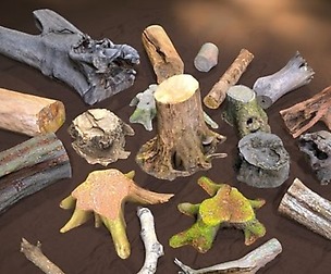 Forest Elements