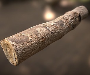 Wooden Log
