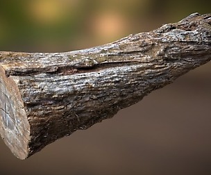 Wooden Log
