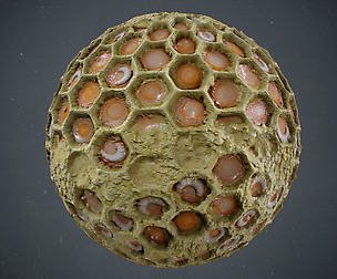 Honeycomb Material in Substance Designer