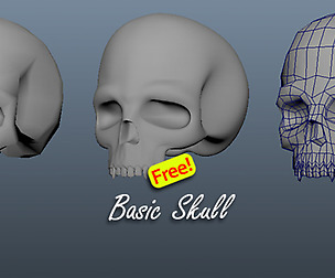 Basic Skull