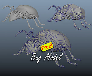 Bug Model
