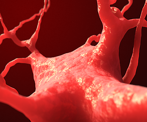 Dendrite neuron nerve cell