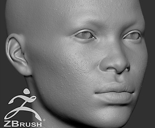 Average Black Female Head Basemesh