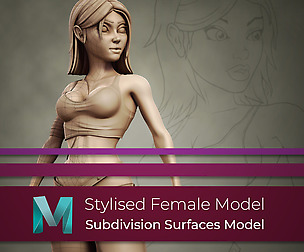 Stylised High Resolution Model