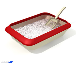 Cat litter