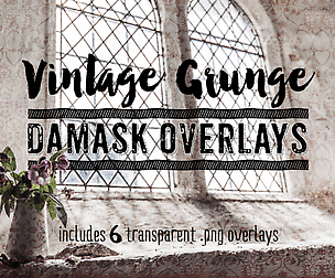 Vintage Grunge Damask Overlays