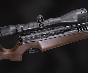 BSAR10SE_rifle