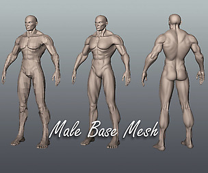 Male Base Mesh