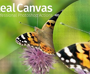 Real Canvas