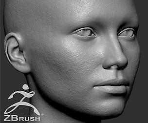 Average Caucasian Female Head Basemesh