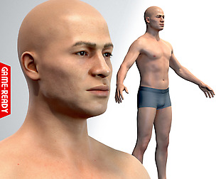 Average Male Body