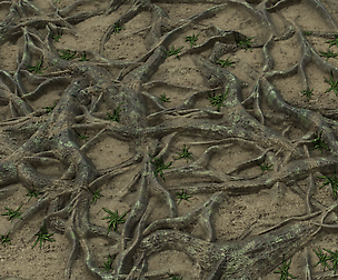 Roots