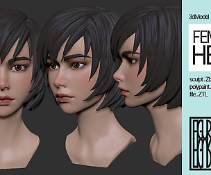 Female Anime Head #1