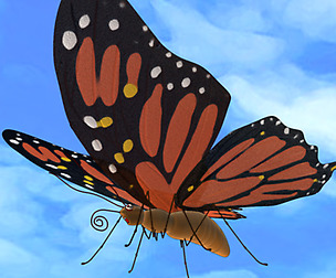 Butterfly cartoon