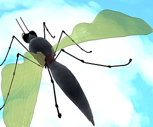 Mosquito cartoon