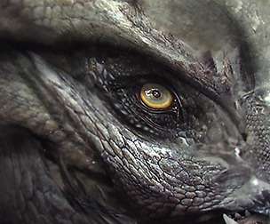 Process - Creature Design for Film 01