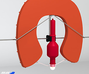 horseshoe lifebuoy