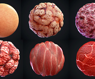 "Flesh" PBR materials(.SBS .SBSAR)