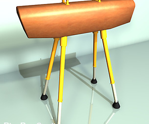 Gymnastics Pommel Horse