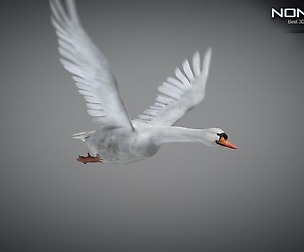 Animated Swan