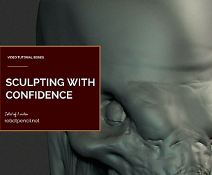 Sculpting with Confidence