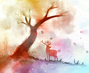 ilustrations
