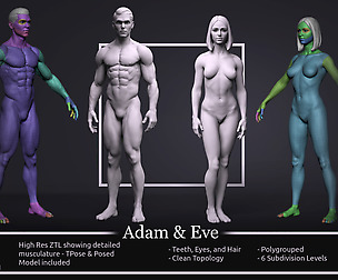 Basemesh Set - Adam & Eve
