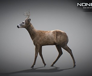 Animated Deer