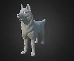 Siberian Husky, high polygon 3D model