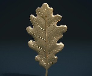 Oak Leaf