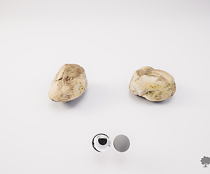 Small River Rock 001 - Photogrammetry