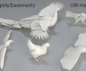 Birds - 5 pieces-low poly-part 2