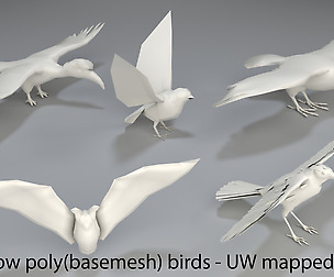 Birds - 5 pieces-low poly-part 3