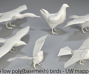 Birds - 6 pieces-low poly-part 4