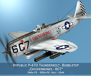 Republic P-47D Thunderbolt - Chickenbones