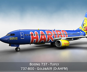Boeing 737-800 GoldbAIR