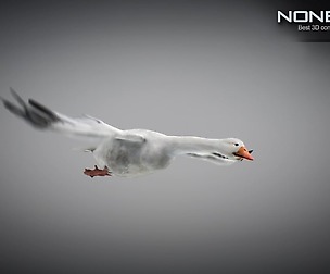 Animated Snow Goose