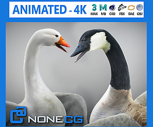Animated Geese