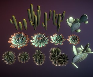 Cactuses