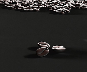 Coffee seed