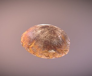 Tasty Bread 02
