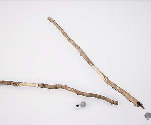 Wood stick 005 - Photogrammetry