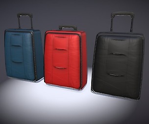 Luggage 09